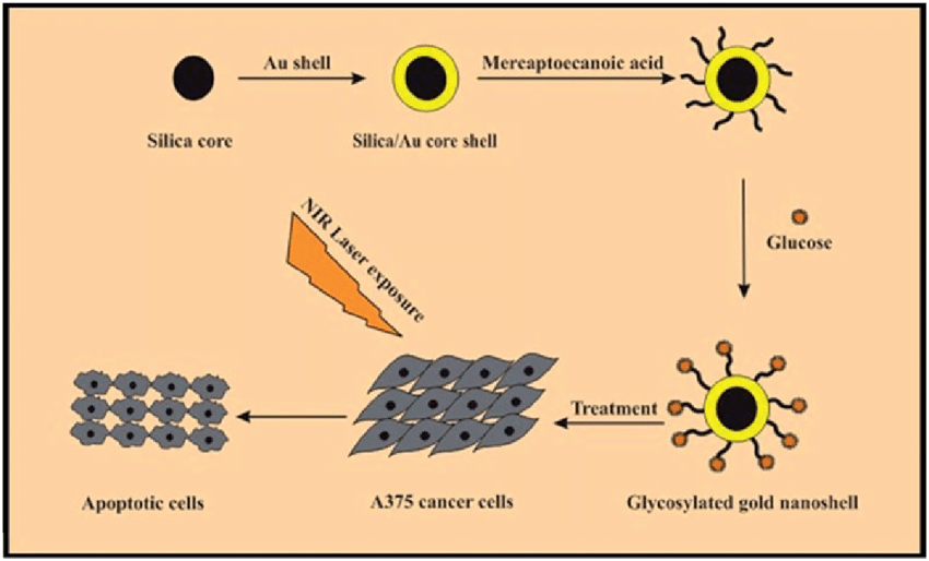 sofiathomas304's tweet photo. The most significant applications of #nanoshells include biomedical imaging, therapeutic applications, fluorescence enhancement of weak molecular emitters, surface-enhanced Raman spectroscopy, and surface-enhanced infrared absorption spectroscopy.
https://t.co/8WYyiERxz4 https://t.co/lErgrSP1Mn