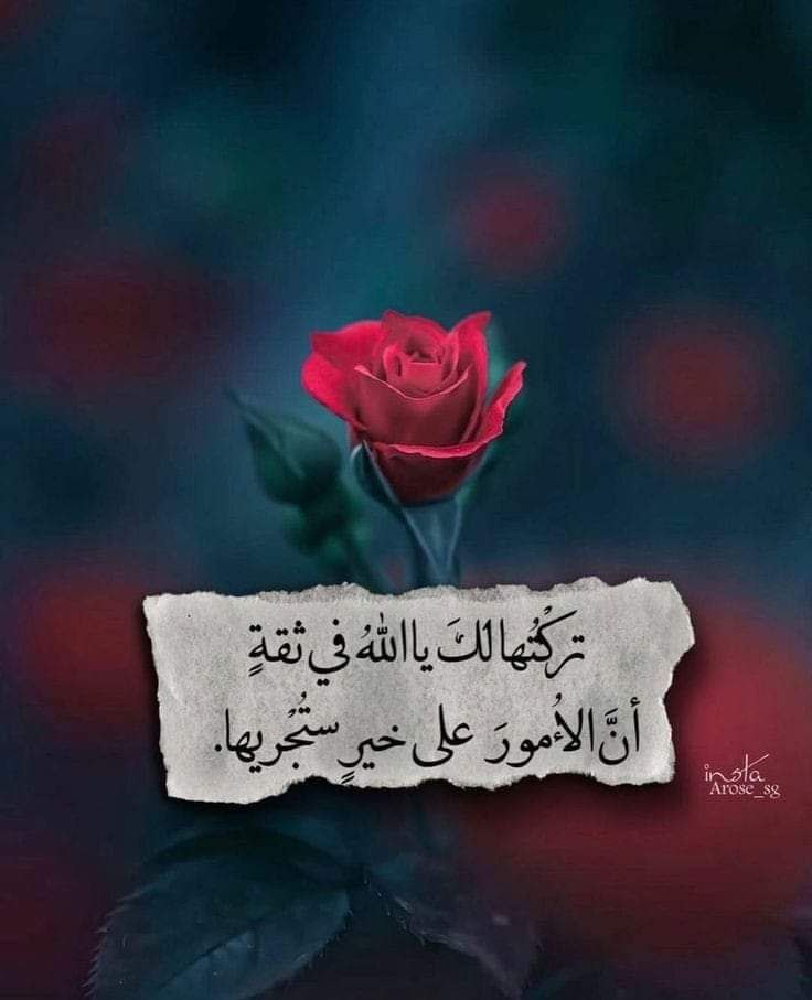 في اخر ايام العام لا يسعنى الا ان نقول اللهم هيئ لنا الخير واهله وابعد عنا الشر واهله يارب العالمين