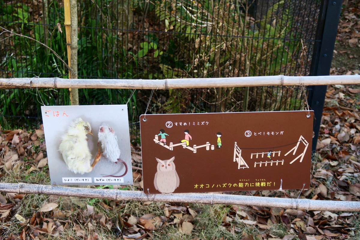 またゆっくりルポで紹介したいのですが、在来野生動物舎とアスレチック遊具が並び立つ「えっぐの森 どうぶつごっこ」は園館における「レクリエーション」と「展示」との融合の新しい形を提示しているかも知れません。
(2022/12/29撮影)
#アクアマリンふくしま
#どうぶつのともだち