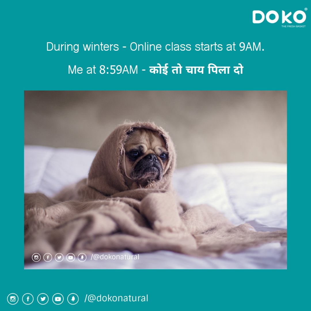 DokoNatural's tweet photo. My craving starts with a warm cup of tea.
Order Now: https://t.co/BM8EFvJZNg
#teameme #memes #dokonatural #pugmeme #winter #winteroutfit #wintercravings #tealover #masalachai #morningtime #cutepug #adorable #buytea #teatime https://t.co/5FU7fPq0HG