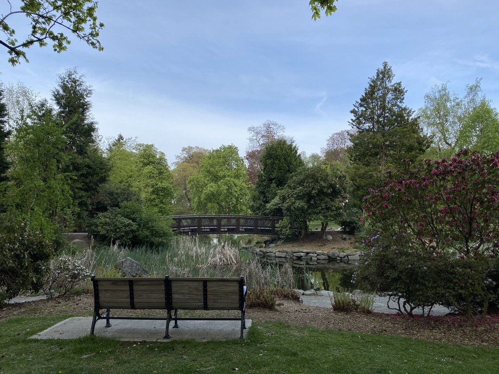 Qagggy's tweet photo. Cool Parks: Little Island (NYC), Park Zrinjevac (Zagreb), Wright Park (Tacoma), Gardens by the Bay (Singapore). https://t.co/hTjCjjOB2q