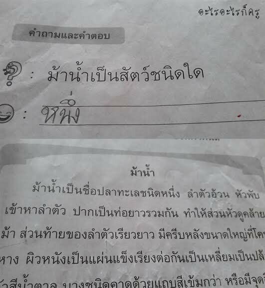 zepperjelly's tweet image. มีมสิ้นหวังการศึกษา