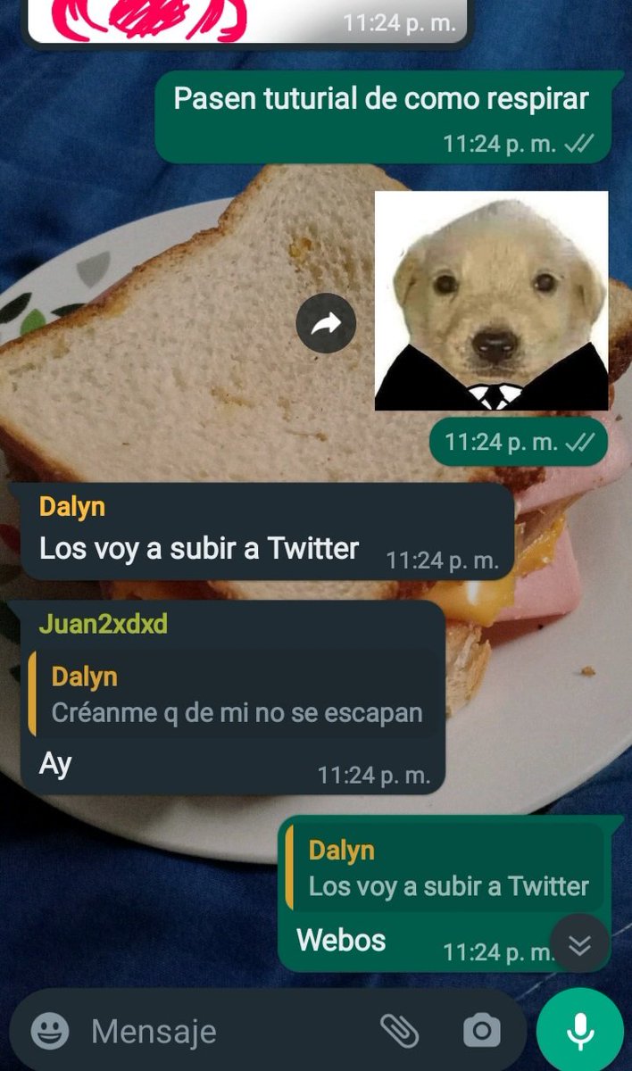 Angelitos086's tweet photo. Como ven a este we? https://t.co/jEuxka7GFF