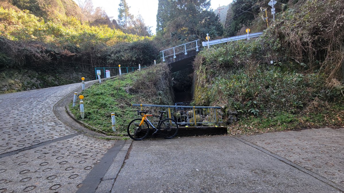 reacto__4000's tweet image. 暗峠行ってきた～～!!!!
しんどすぎた(;´Д`)ﾊｧﾊｧ