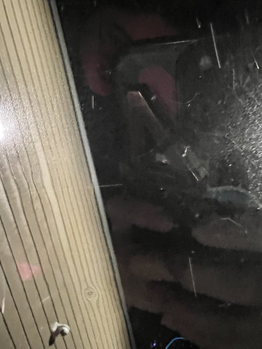 peoXtheter's tweet photo. it’s raining and my little stinky poo bear is keeping me warm in the car #rainingdrive #wetcar #McDsparkinglot https://t.co/CS2aw6GqA1