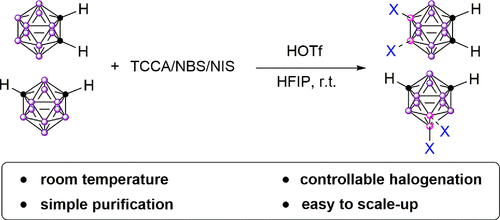 bhkenlo's tweet photo. A Method for Highly Selective Halogenation of o-Carboranes and m-Carboranes https://t.co/ZtZtYaKuzI Ma, Chen, and co-workers @InorgChem #boron #carboranes #halogenation #HOTf #HFIP https://t.co/gnvcgUgCHy