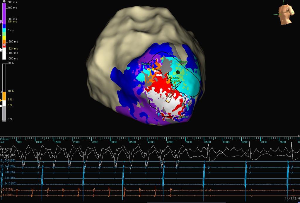 Dr. Ozgur Surgit M.D. Prof. Dr. tweet media