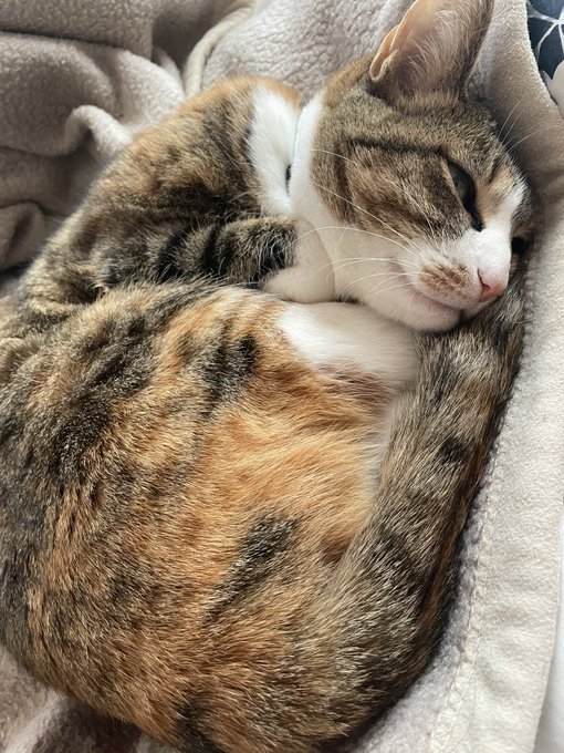 これから仕事なので取り急ぎ…
一年間ありがとうございました!
来年もどうぞ宜しくお願いします! 