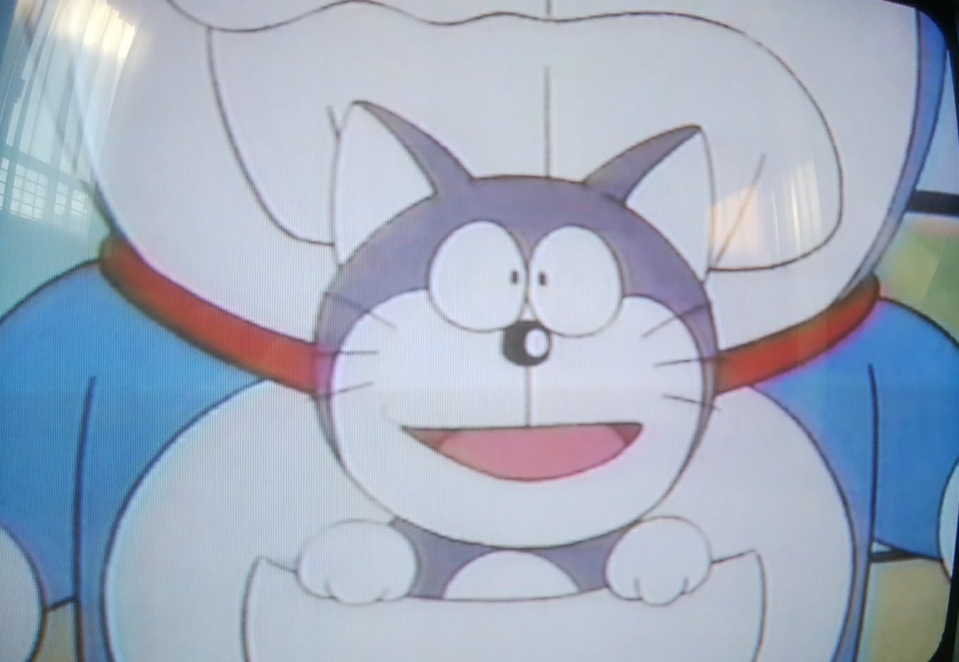 カムカムキャットフード - অনুসন্ধান / X