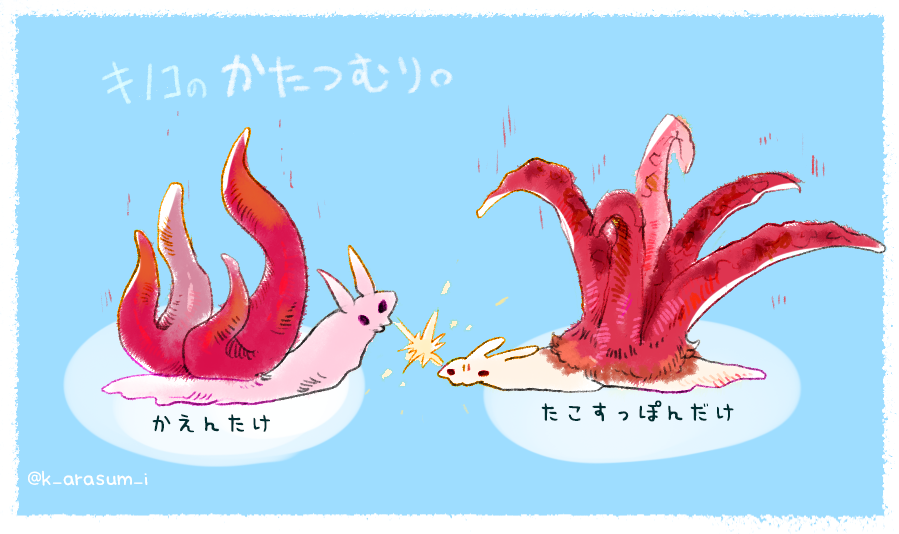 キノコのかたつむりさんです 