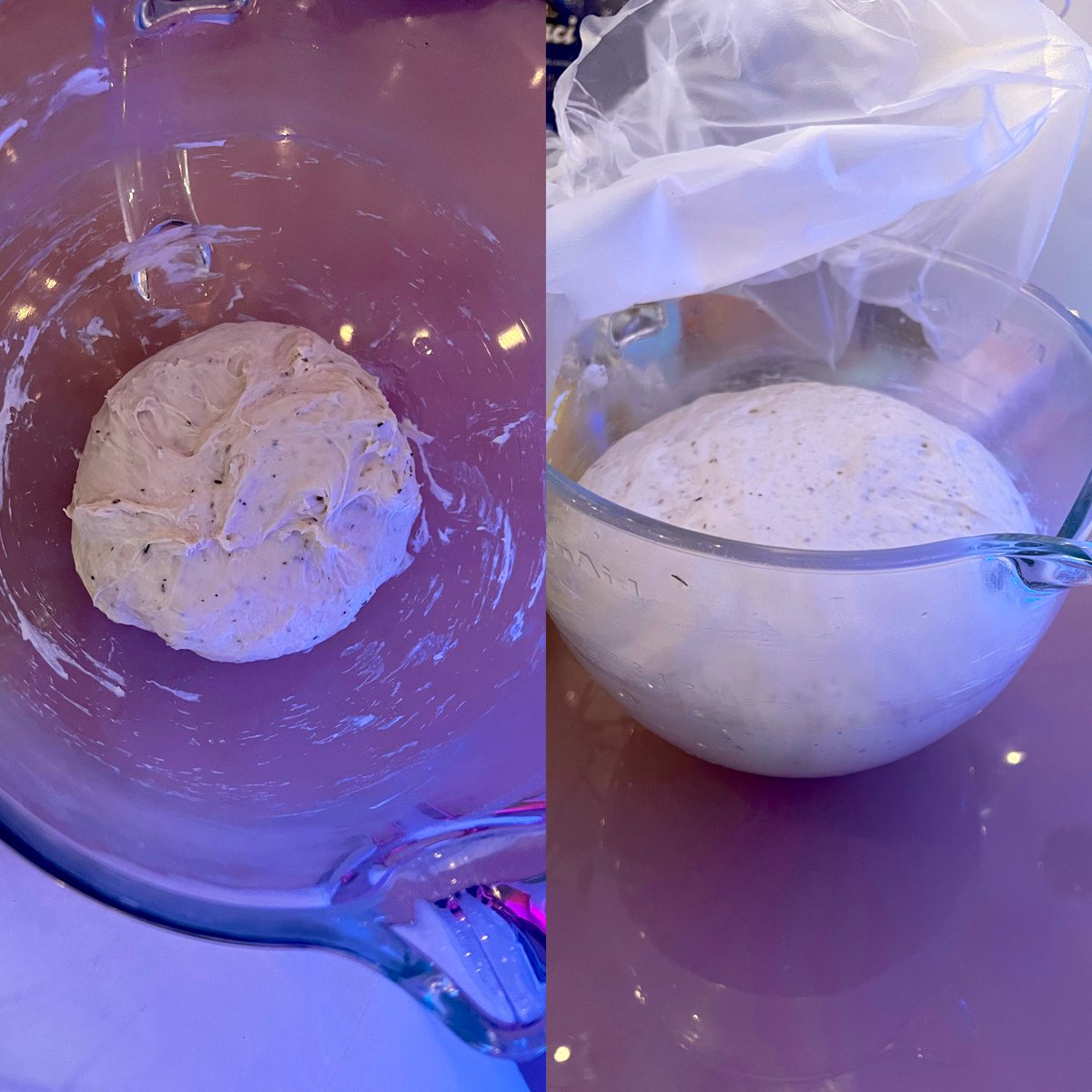 aria🏅 on Twitter "no cheese pizza shamers here!!"