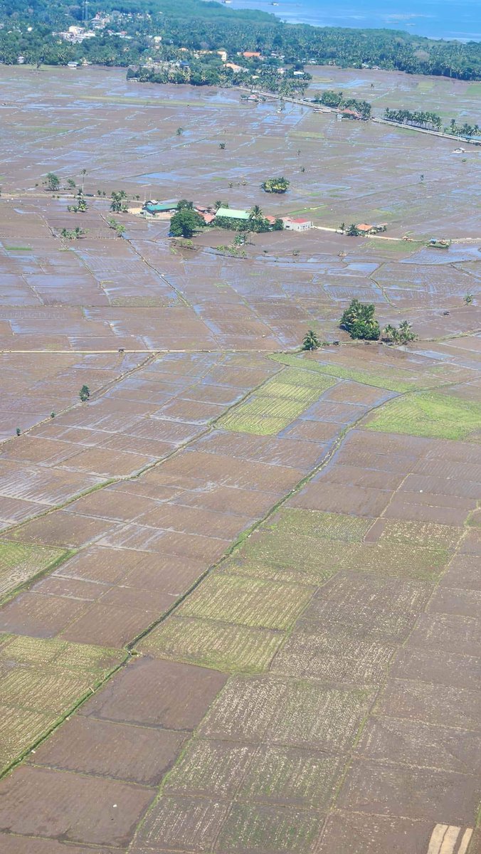 OCD10NorMin's tweet photo. 29 December 2022 - OCD 10 facilitated the availability of air asset and coordinated with the 4th Infantry Division, Philippine Army for the conduct of joint aerial survey with the DSWD. https://t.co/p1YAr6RXFy