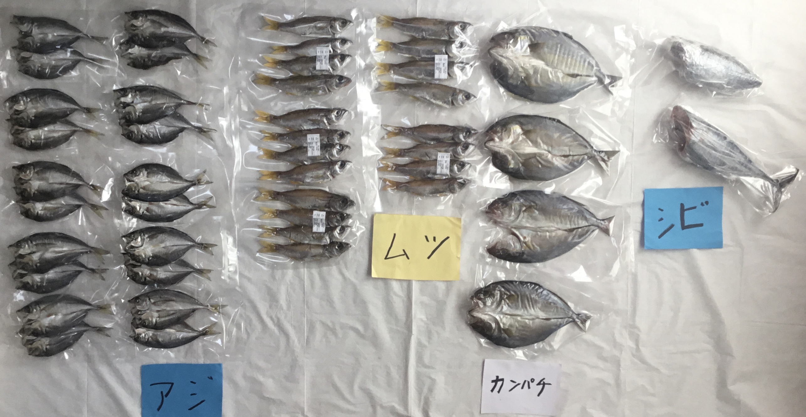 シビ Twitter Search Twitter