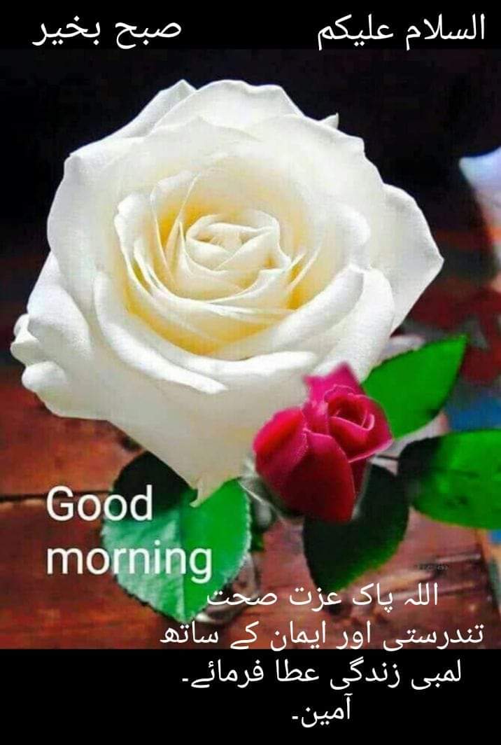 MohiuddinPordan's tweet photo. @JaanKha09489067 https://t.co/93byMfgK7r