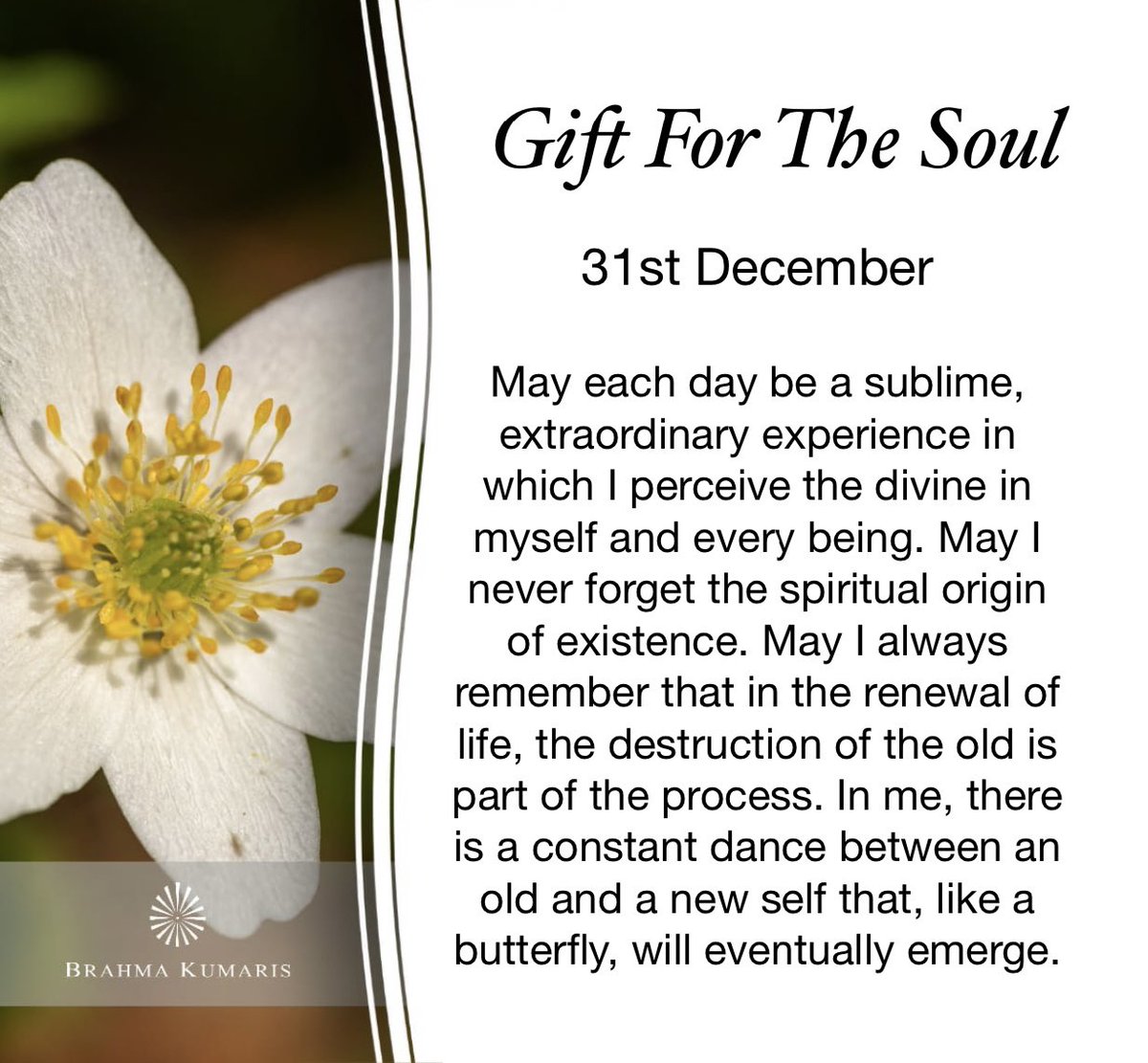 labandera_c's tweet photo. #peace #relax #health #wellbeing #wellness #bio #grateful #happiness #success #meditation #knowmyself #truth #freedom #english #joy #rajayoga #justbe https://t.co/b4cJEJSAzf