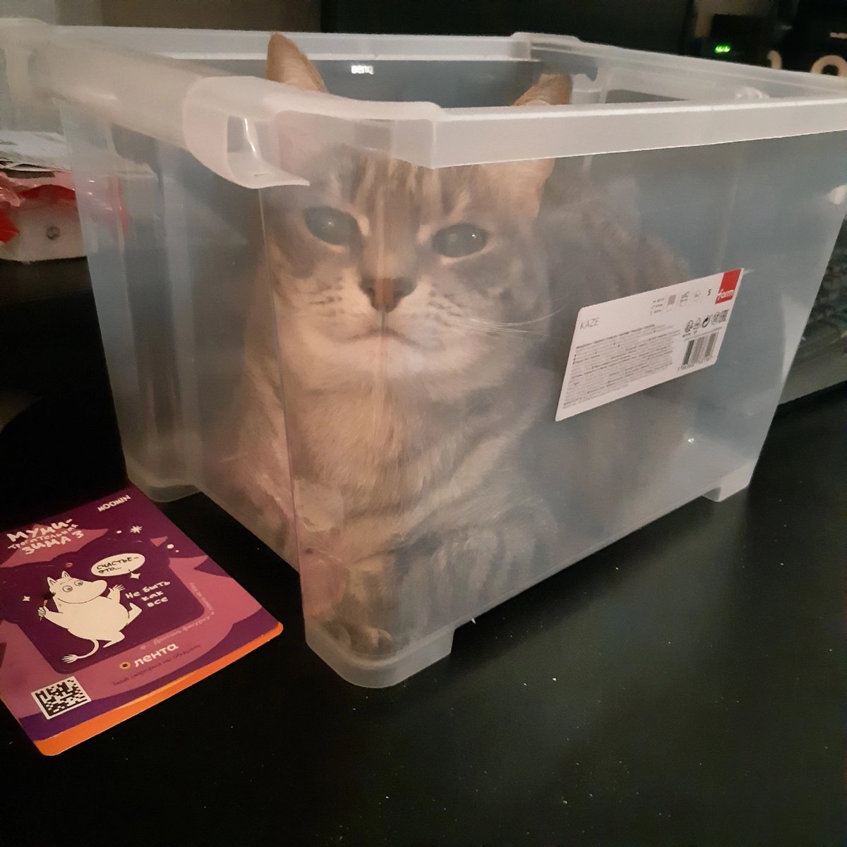 Достала контейнер для закусок называется🤣