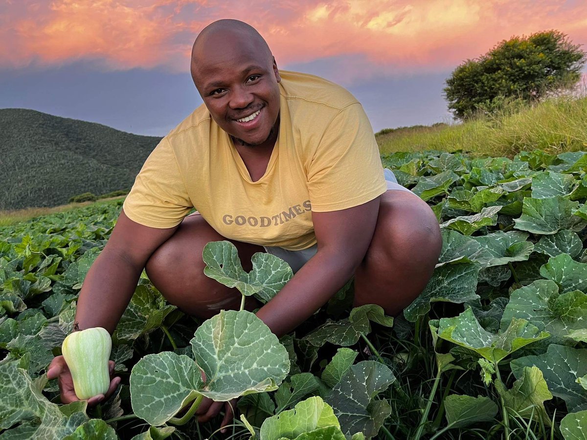 Agric_young's tweet photo. My name is Sihle Maseko (29). I am a #farmer🧑🏾‍🌾from Burnshill,Qoboqobo. I am selling about 10–15 thousand cabbages🥬every month to both the formal &amp; informal markets.
📞:0785652098;
📧 :masekosihle18@gmail.com;
#agriculture #farming #agribusiness #NewYear2023 #cabbage #NewYearsEve https://t.co/WysFzMBAQo