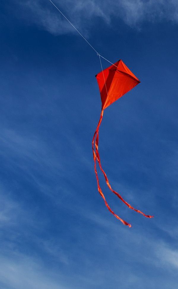 MuhammadShojaee's tweet photo. As long as you entrust the kite of your #heart to Allah, the wind will not lead it astray! https://t.co/DvXSJtWcMf
