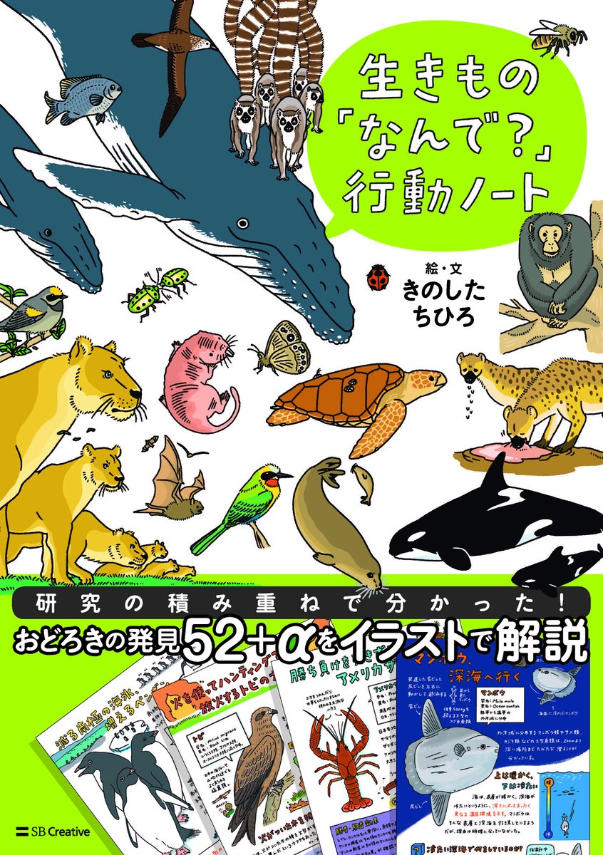 【お知らせ】生き物の生態や論文を図解した本が出来ました。ほぼ全てのページがイラストです。予約受付開始しております🙇!(発売は2月1日) https://t.co/t68XBsgd41 