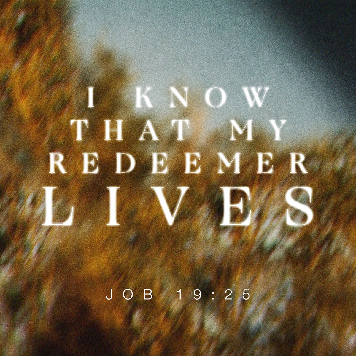 adechuks's tweet photo. For I know that my Redeemer lives, And He shall stand at last on the earth;
Job 19:25 NKJV

https://t.co/y4eYu2GeLB https://t.co/U0VOBB8C2S