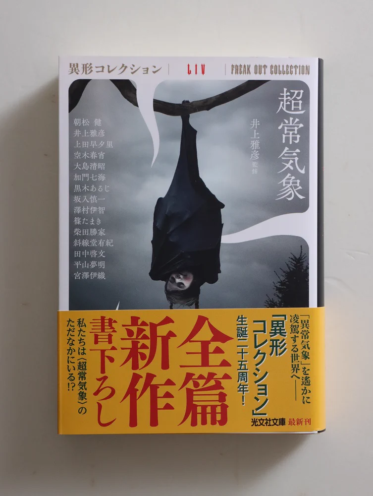 芝田文乃 SHIBATA Ayano◎ポーランド語翻訳 on X: 