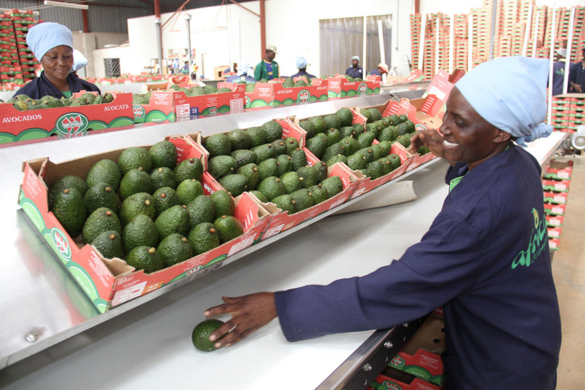 DECEMBER 30, 2022 #Tanzania has sought to promote investment in the country by creating an enabling business environment through strategic reforms in various strategic economic sectors, including agriculture
#TanzaniaInvestment
znznews.com/tanzania-readi…