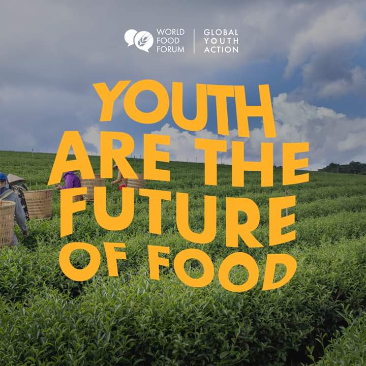 impact_afrika's tweet photo. Creates space for youth to transform our agrifood systems 🌱 Youth are the future of food. https://t.co/fU8SVqGU97