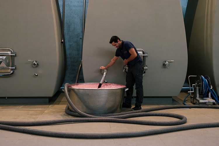 The year’s biggest stories: the five most-read features this year

frw.co.uk/editorial/wine…