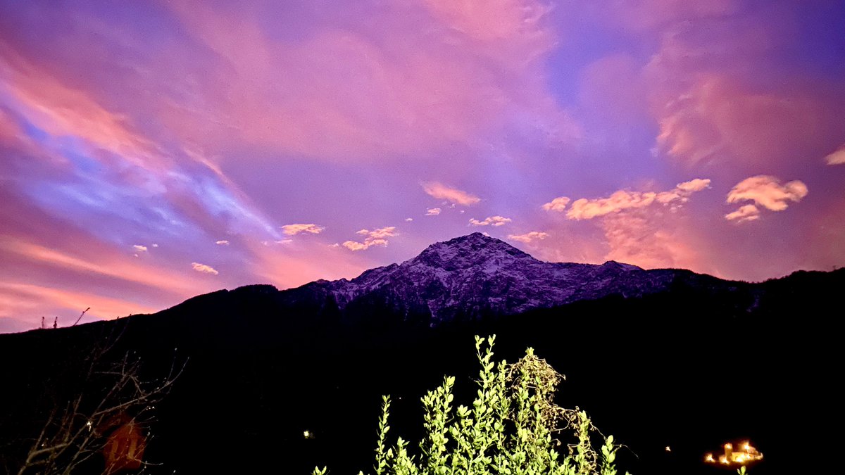 Sergio Foiadelli tweet media