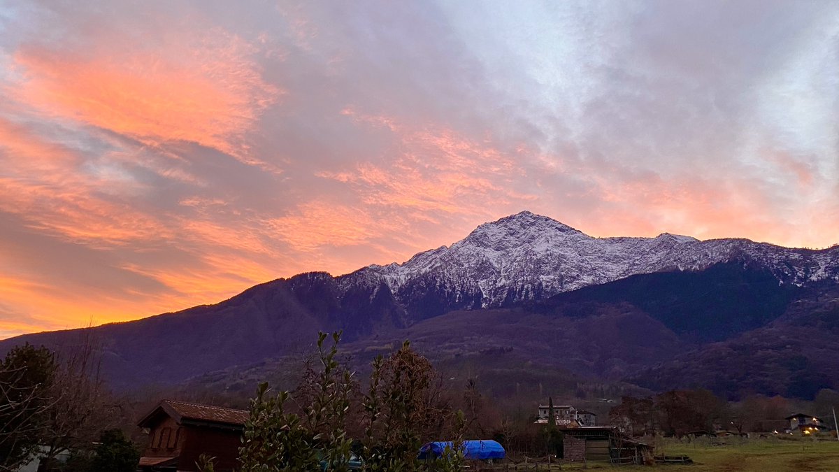 Sergio Foiadelli tweet media