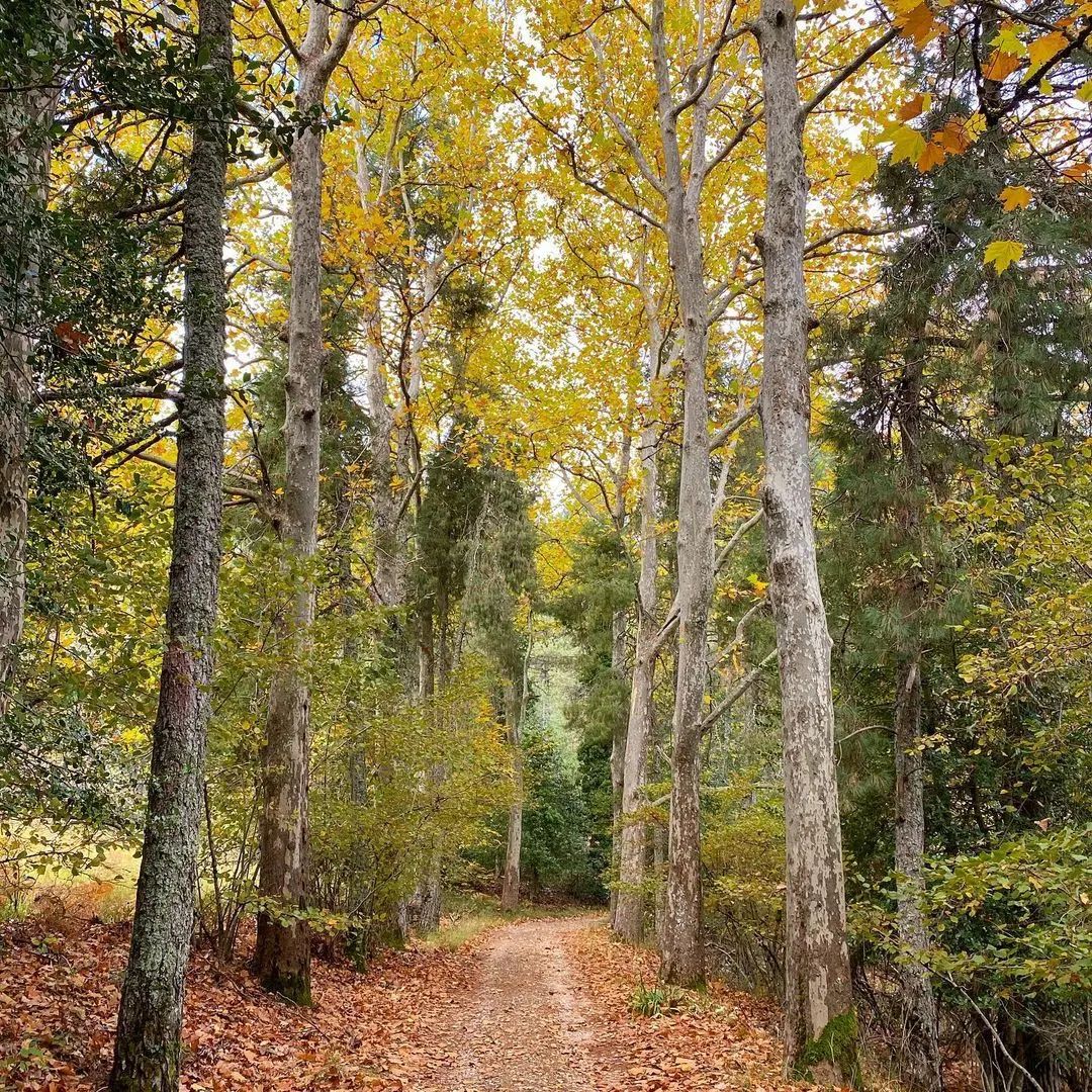 Carolo65's tweet photo. PUEBLOS DE JAÉN 
En la Sierra de Segura se encuentra Siles con una situación privilegiada. https://t.co/omAcP0VLTq