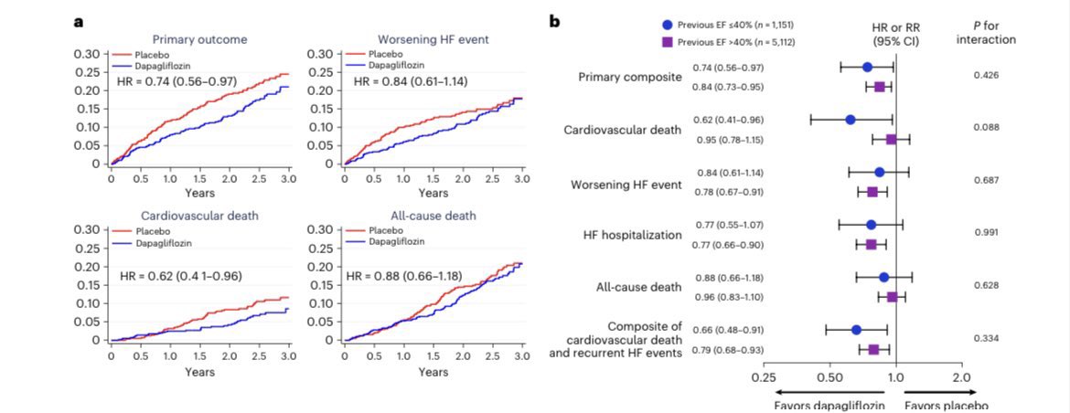 JuliaSellerm's tweet photo. Top3 heart failure trials in December 2022: #CardioTwitter

🥇Dapagliflozin in HF with improved EF @NatRevCardiol

🥈Rapid Uptitration: What's the Evidence? @ESC_Journals 

🥉HFrEF ➕ the intersection of cardio-renal-metabolic medicine @ESC_Journals https://t.co/ql4LRMjJm1