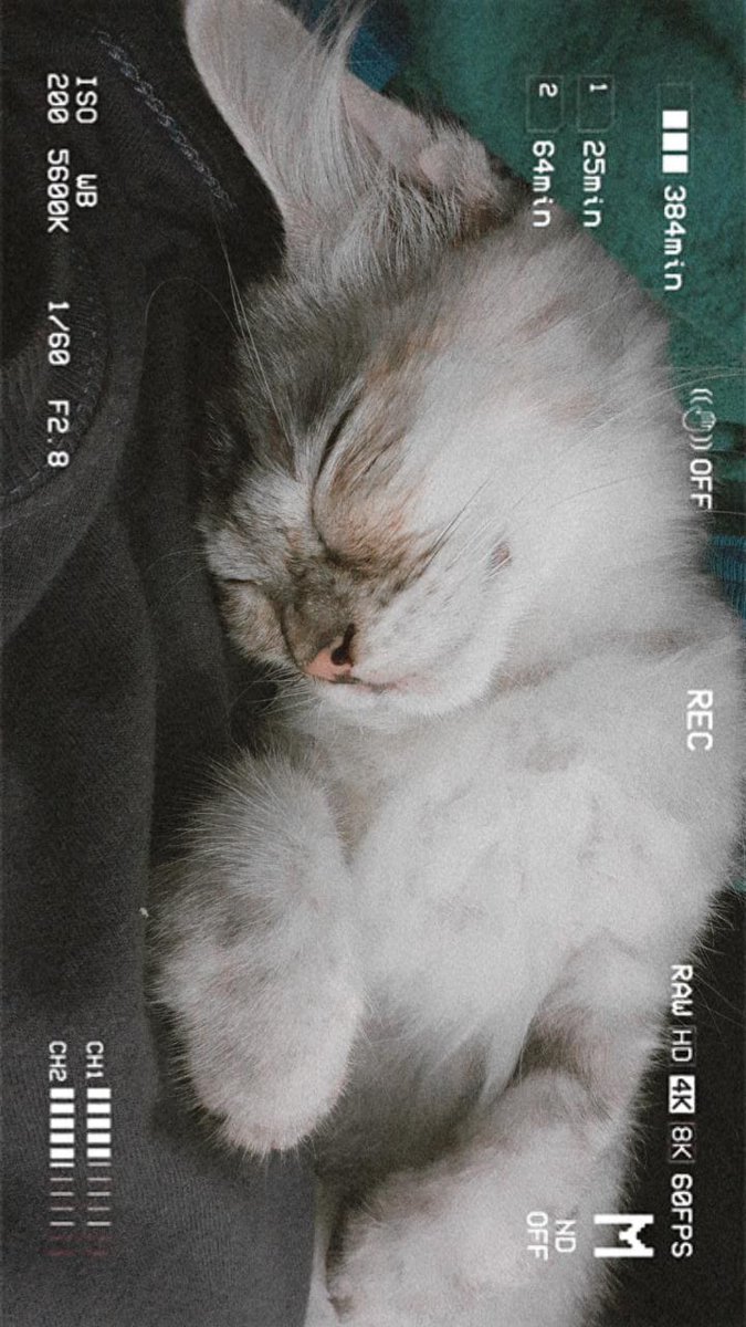 puspitamyng's tweet photo. https://t.co/jHFCMbJ6u4