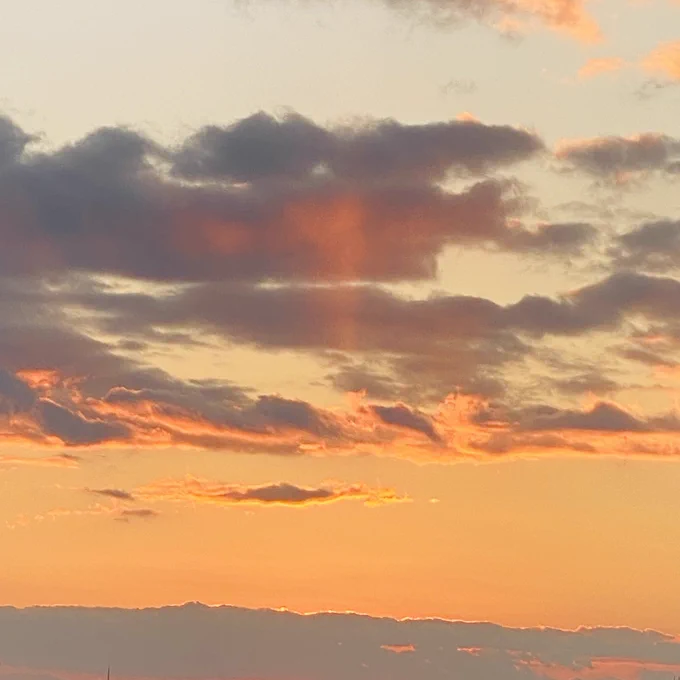 お日様、今年一年もありがとうございました。また来年もよろしくお願いいたします。 