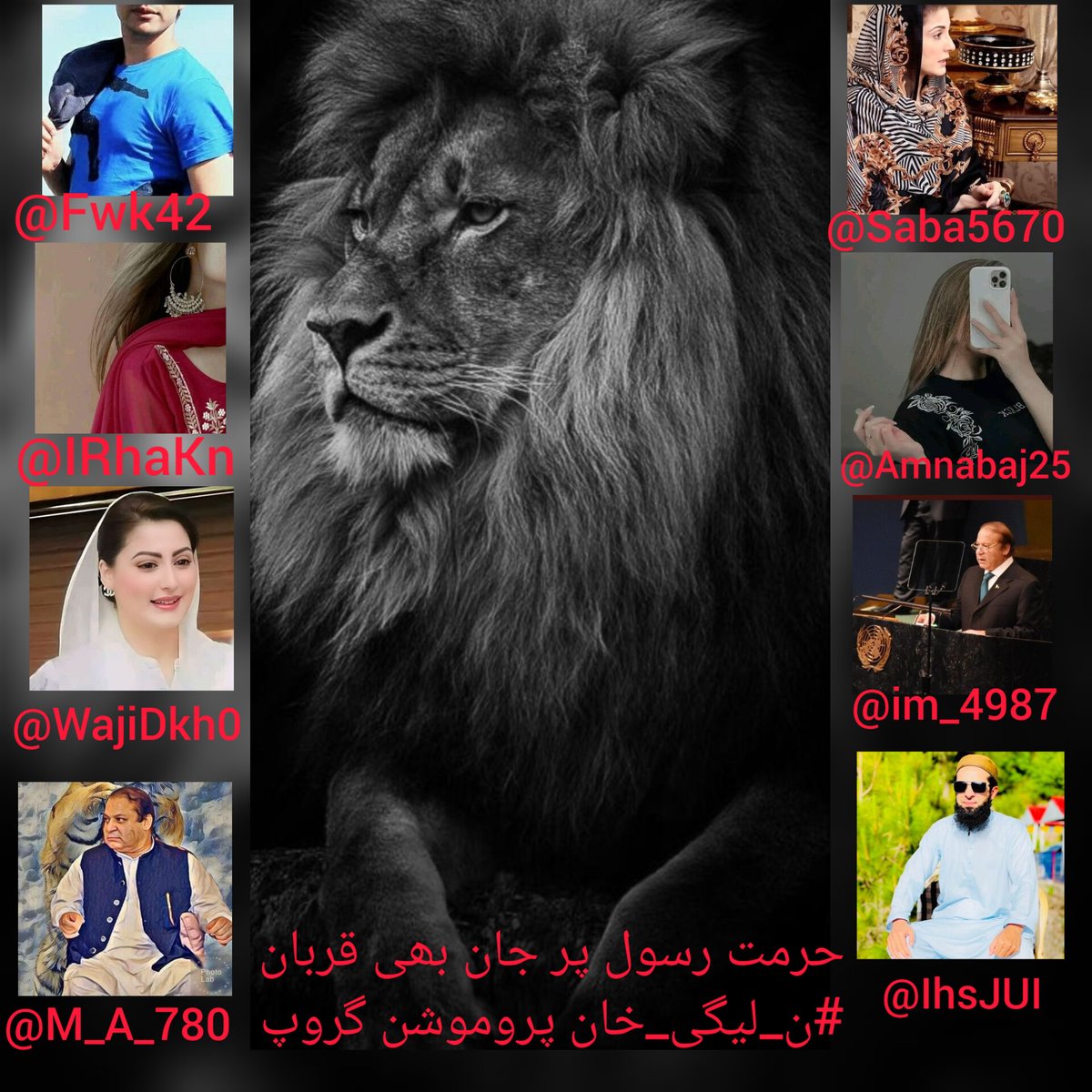 Amna Bajwa tweet media