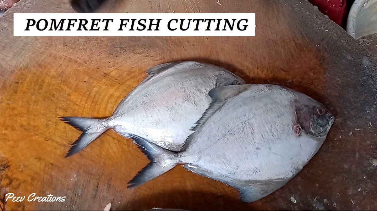 PaulK33039356's tweet photo. Black Pomfret Fish cutting and cleaning in Chennai Fish Market #fishing #fishcutting #fishcleaning #FishingGirls #fishinglife #fishingfun #fishingaddict
https://t.co/cjwrS4rIKf
Also visit us at https://t.co/N8MWPELzef https://t.co/uhDoQSRmrn