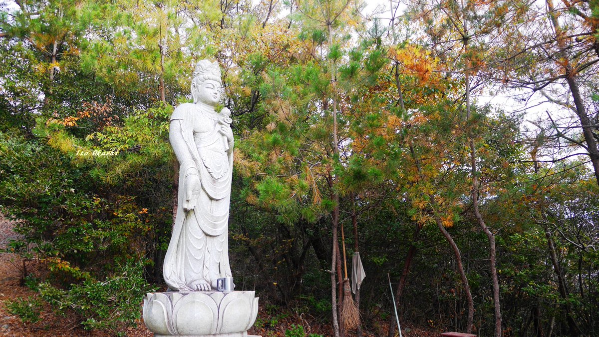 よいお年を🙏