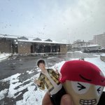 はるのツイート画像