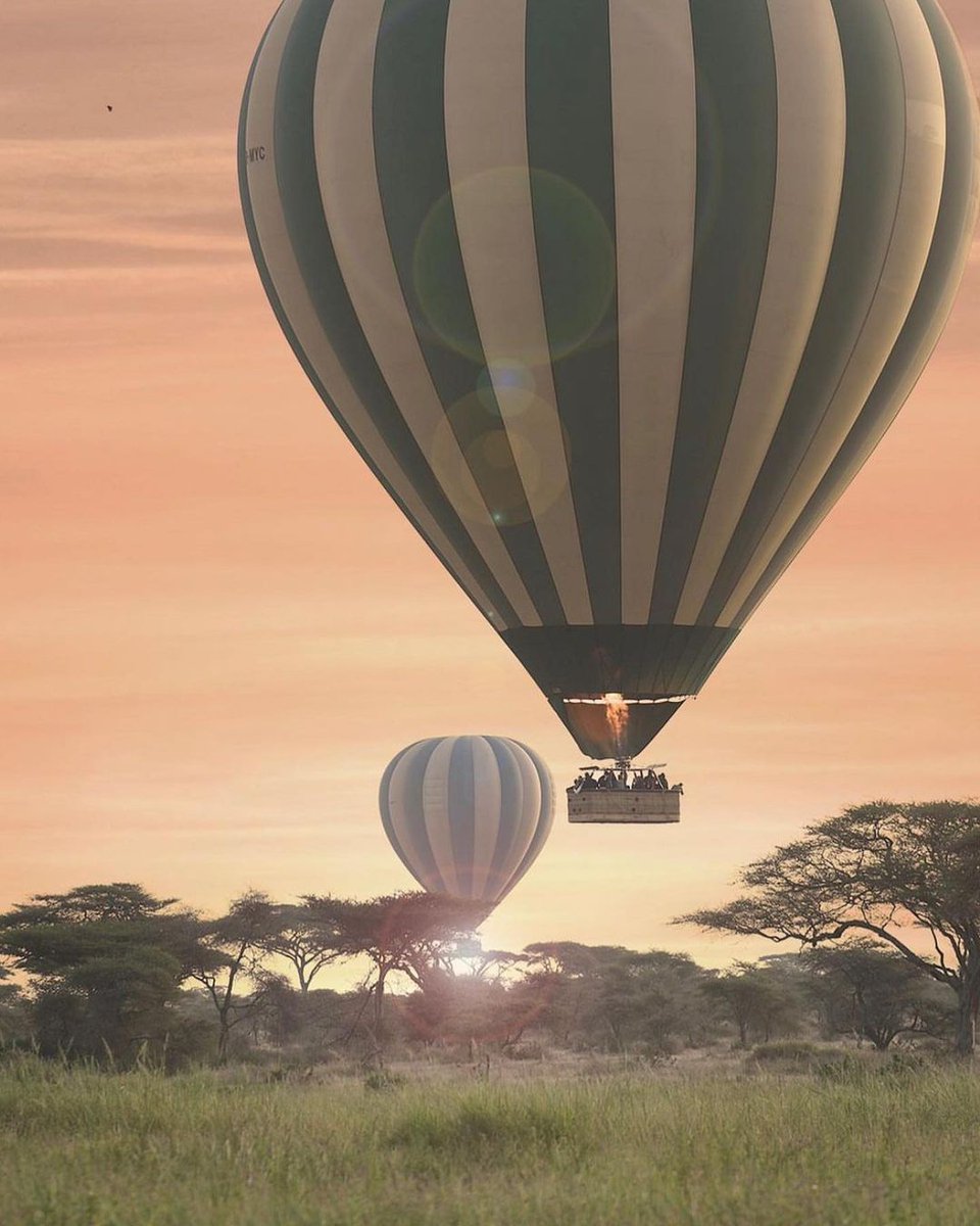SafariInfo_Tz's tweet photo. Tanzania Best places to visit in 2023.

1. Serengeti National Park https://t.co/i3mLvIdtAO