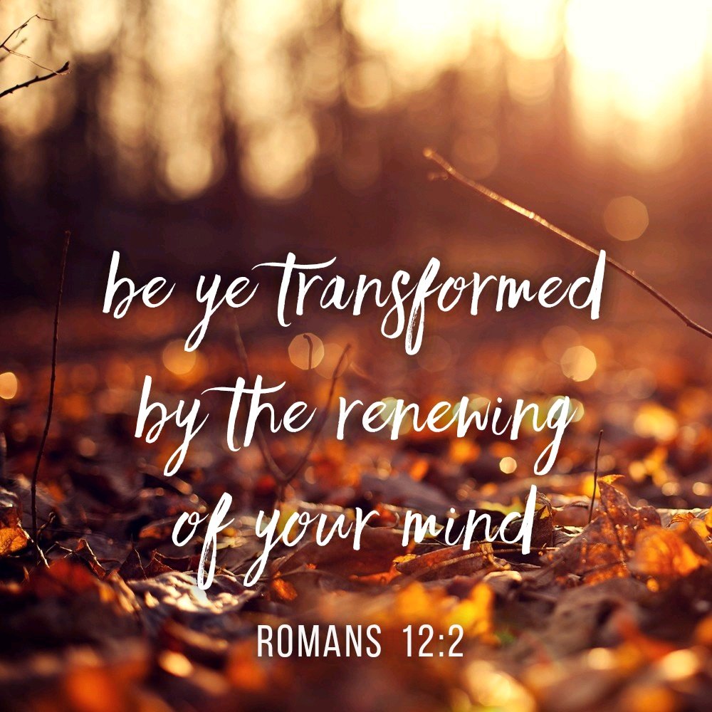 The transition from one year to the next is often a time of reflection on the past and planning for the future.

Wishing you a peaceful and fulfilling 2023 - may you be transformed by the renewing of your mind.

#TheMindfulMason