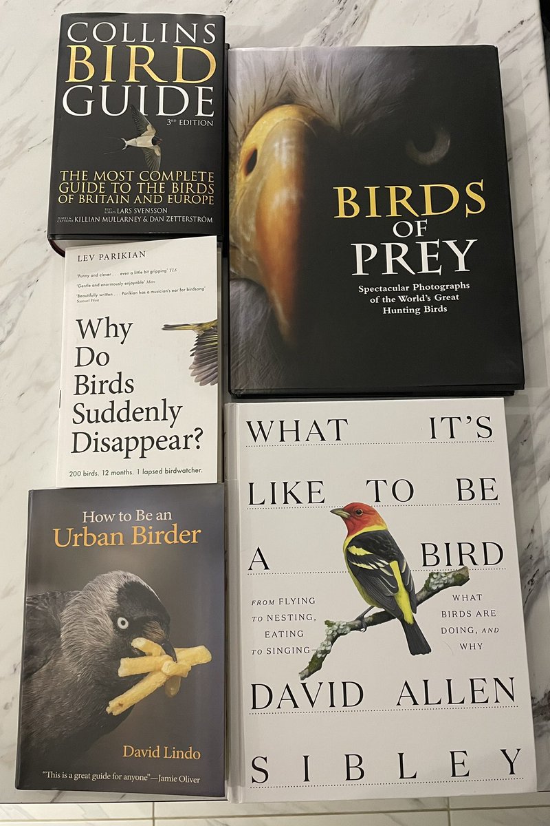 My Christmas books 😍. I’ve started with- What it’s like to be a bird, which I’m very impressed with so far!  It’s full info on bird behaviour with beautiful illustrations. #birdbooks #BookTwitter