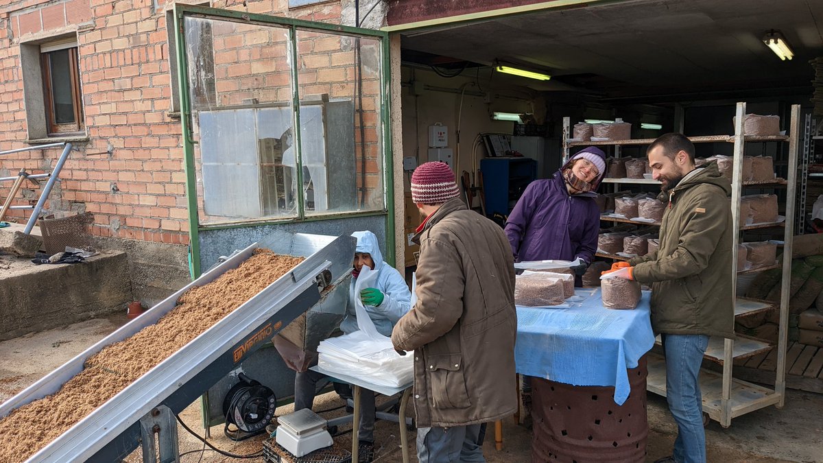 LIFE MycoRestore tweet media