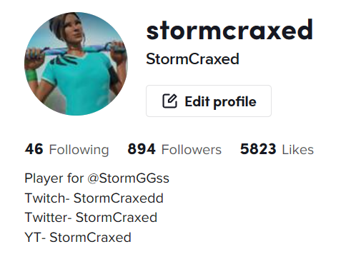 StormCraxed's tweet photo. We are almost there, 1k 💛Thank you so much everyone for the support and special shoutout to my org @Storm. #tiktok #streamer #fortnite #grow #1k https://t.co/l38uOpTAxC