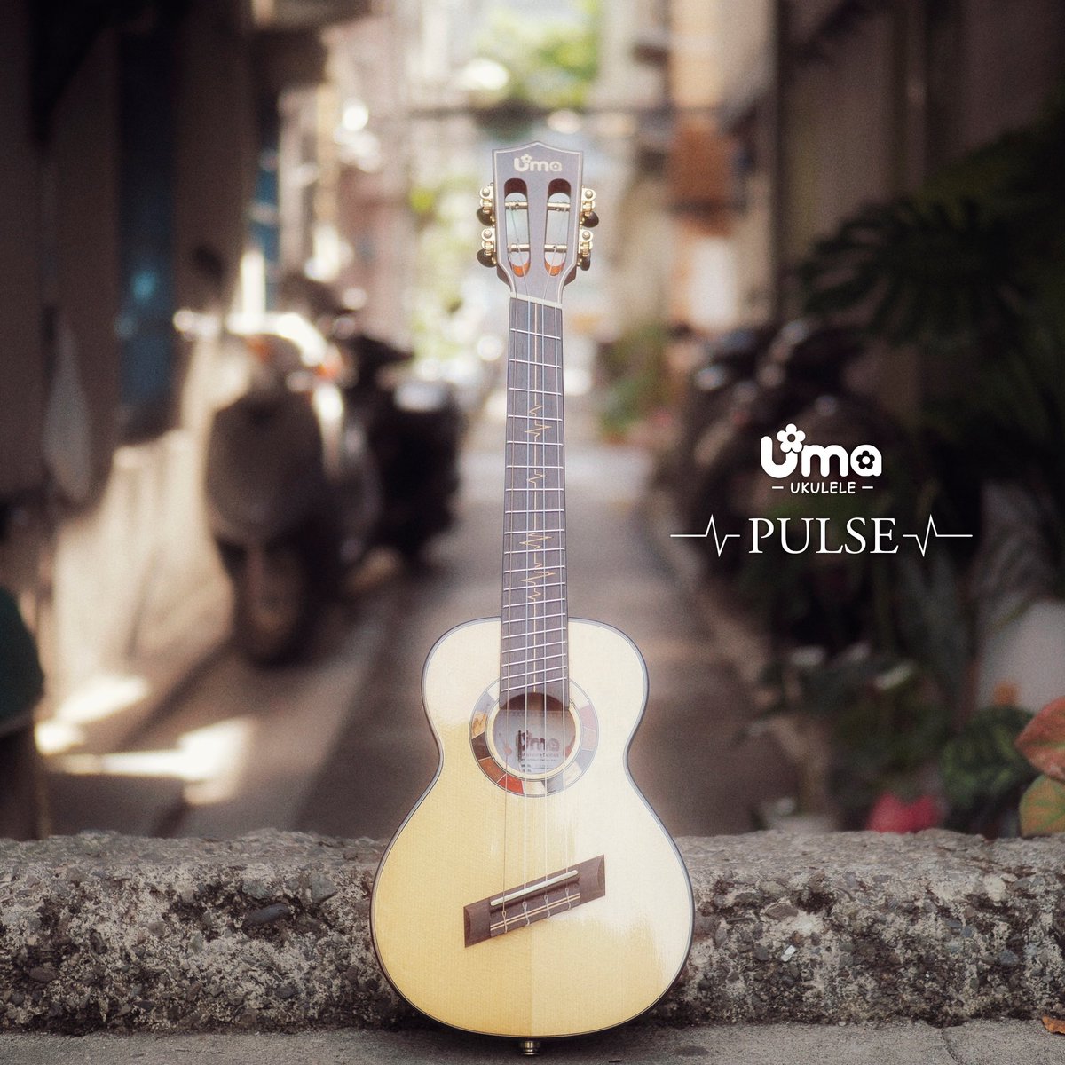 Say goodbye to 2022 and say hi to 2023!
Thank you all for your support and help for the whole year ❤️❤️

#2023NewYear #umaukulele #ukulele #uke #uma 

umaukulele.com