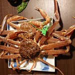 ツイートに含まれる画像
