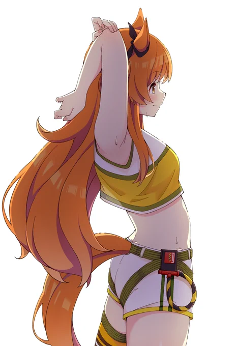 マヤノ 