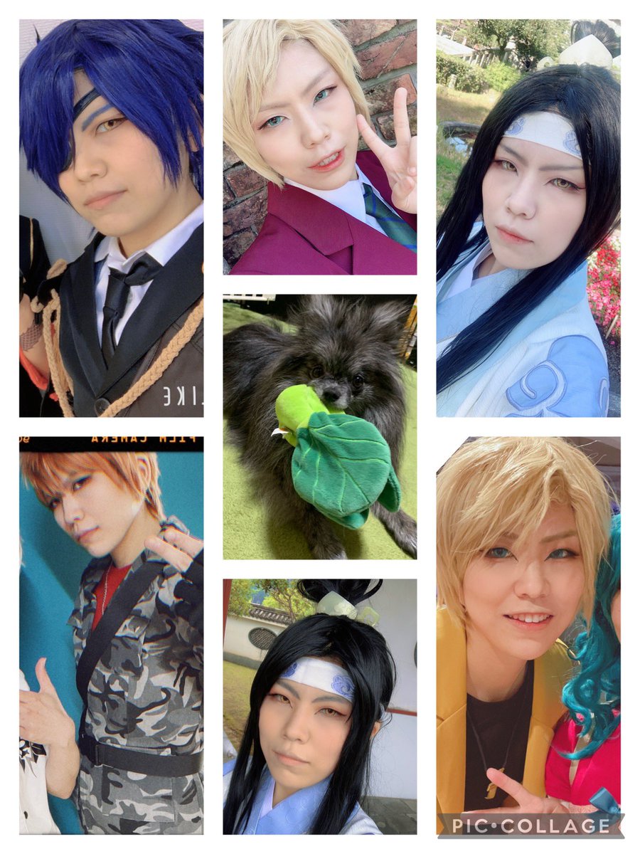 とりあえず自撮りで総決算してみた(with 我が家のわんこ添え(笑))
今年はmdzsやれてよかったなぁ。できればやれるキャラを増やしていきたいところ。
 #コスプレ総決算2022