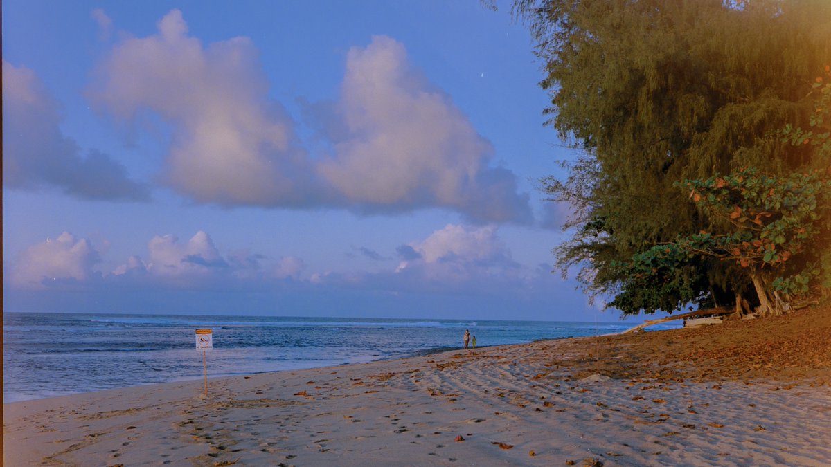 eamonsphotoss's tweet photo. Kauai, captured on film https://t.co/gPdTs2SVuv