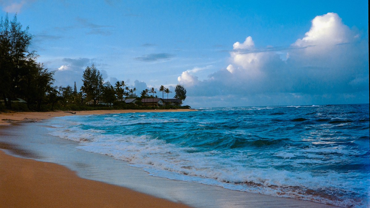 eamonsphotoss's tweet photo. Kauai, captured on film https://t.co/gPdTs2SVuv