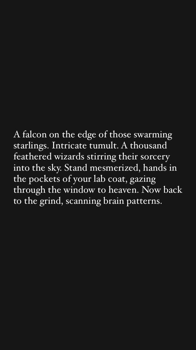 Pithyfics — Day 266 — Fiction with 280 characters or fewer #writing #microfiction